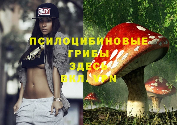 дмт Арсеньев