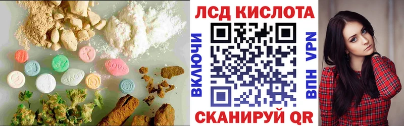 Лсд 25 экстази ecstasy  где найти наркотики  Новоалтайск 
