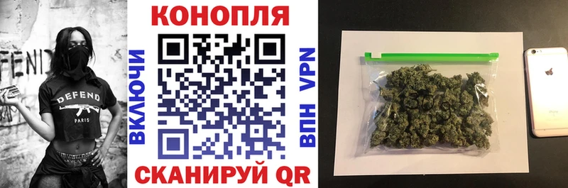 цены наркотик  Новоалтайск  Бошки марихуана план 
